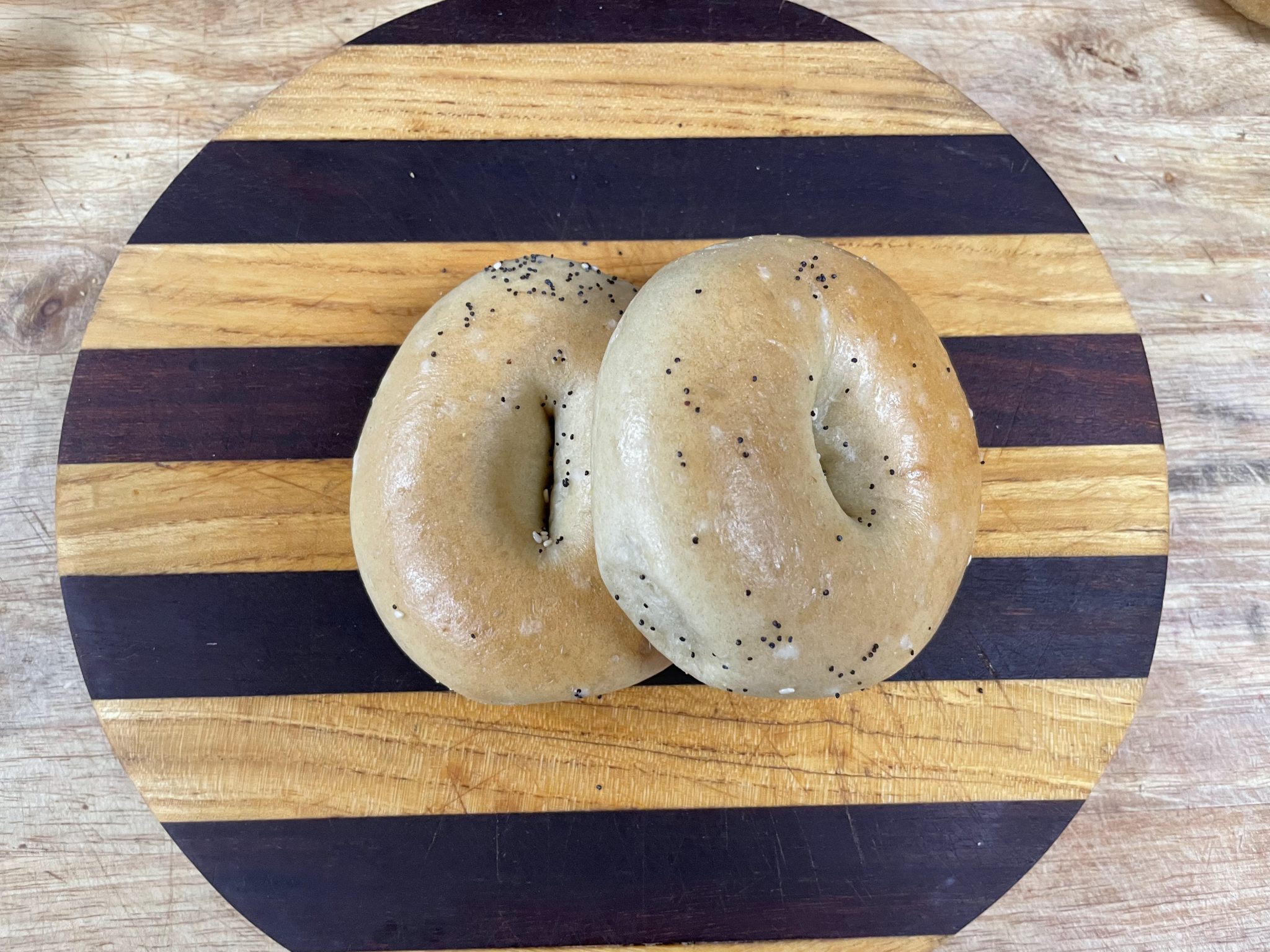 Poppy Seed Bagel Pizzaco